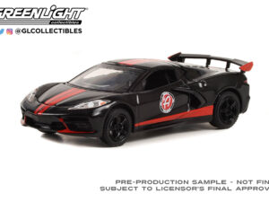 GL41150-F - 1:64 2022 Chevrolet Corvette C8 Stingray Coupe - Adam's Polishes